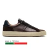 Anopolis Brown