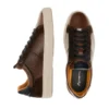 Anopolis Brown – Image 3