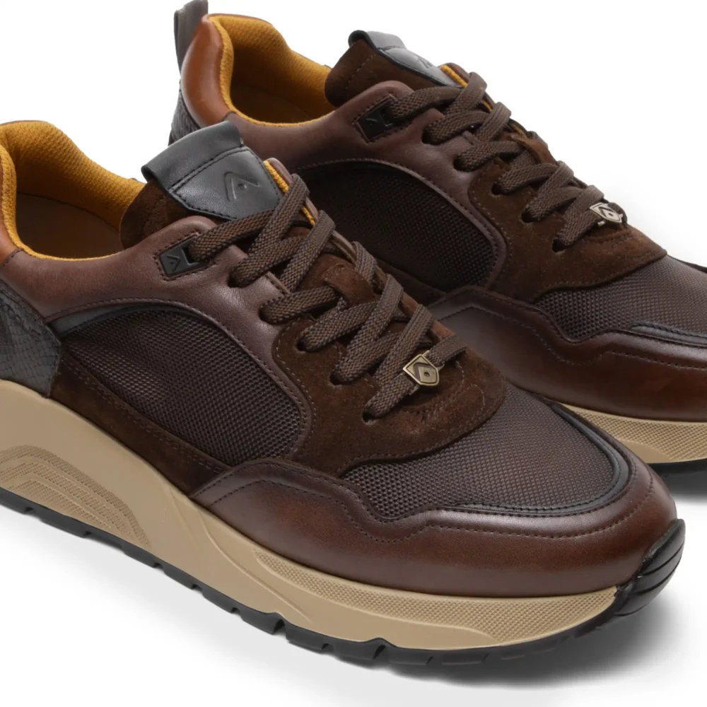 Strider Tdm – Image 4
