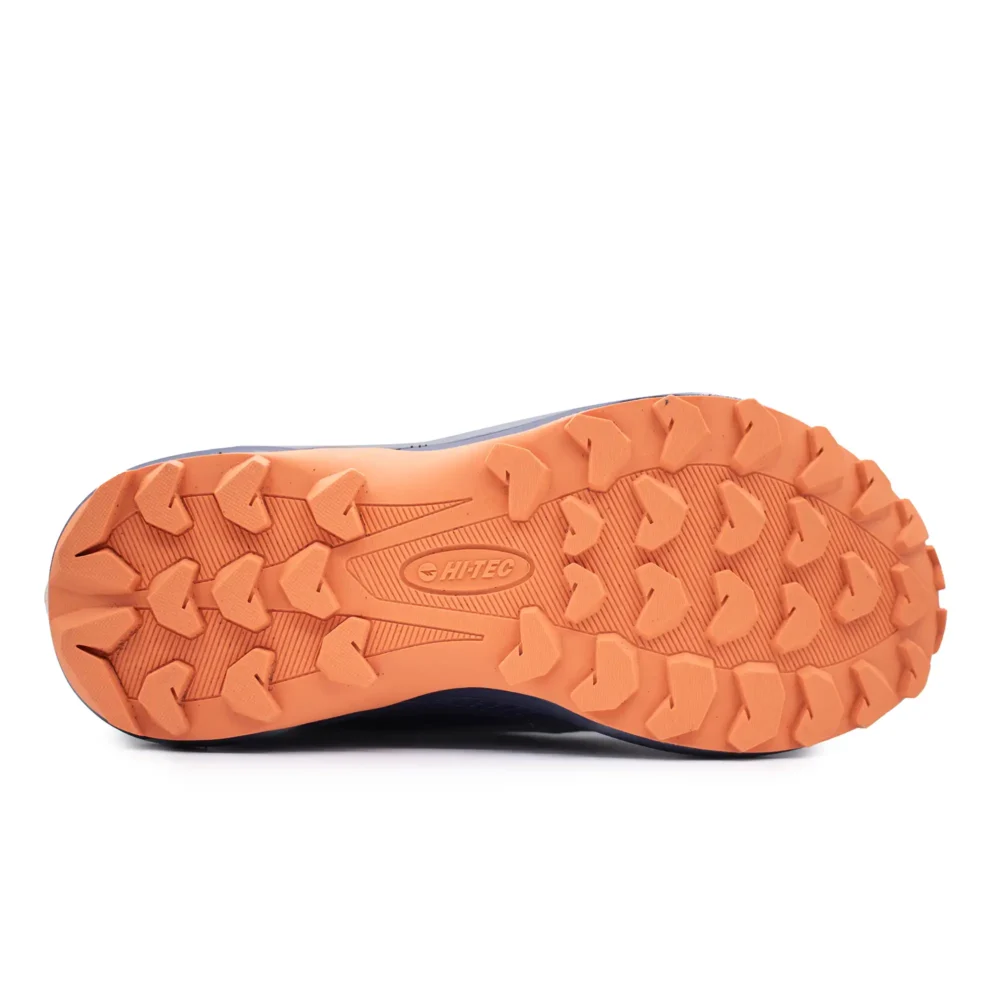 Raptor – Image 5