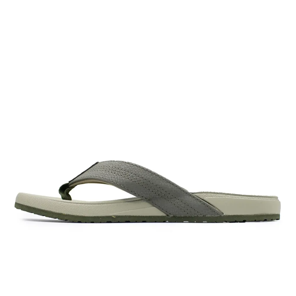 Mylta Olive – Image 3
