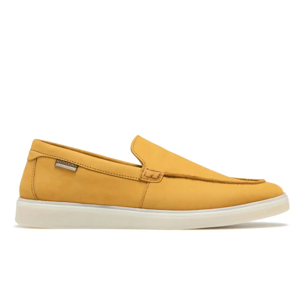 Arcanni Camel – Image 1