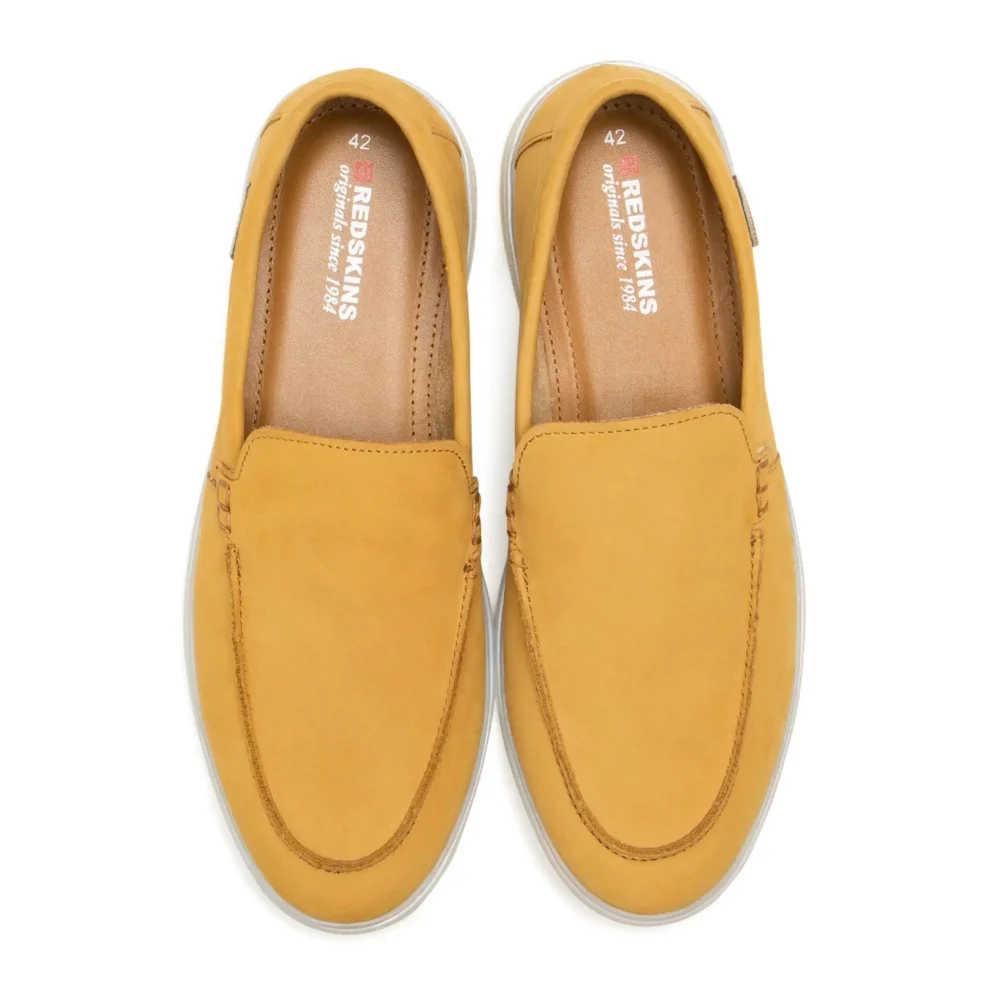 Arcanni Camel – Image 4