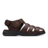 Walkford Fish Brown Tumb